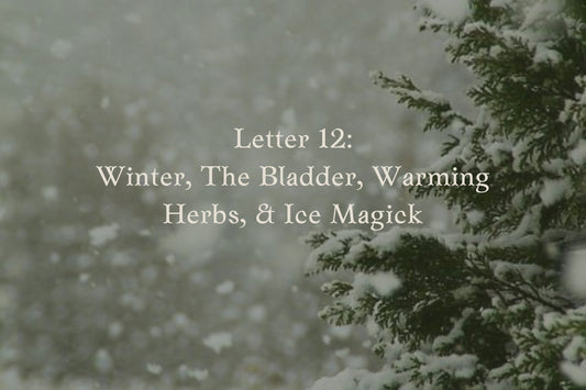 Letter 12: Winter, The Bladder, Warming Herbs, & Ice Magick