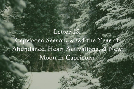 Letter 15: Capricorn Season, 2024 (the year of abundance), Heart Activations & New moon in Capricorn