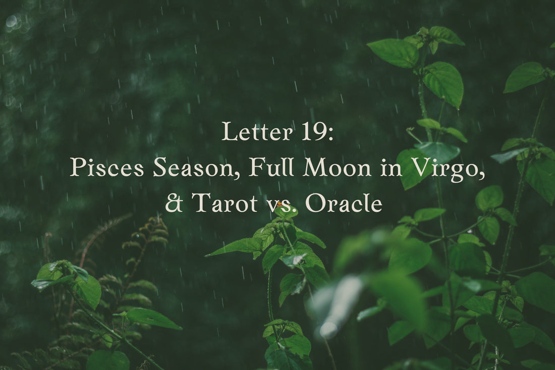 Letter 19: Pisces Season, Full Moon in Virgo & Tarot vs. Oracle