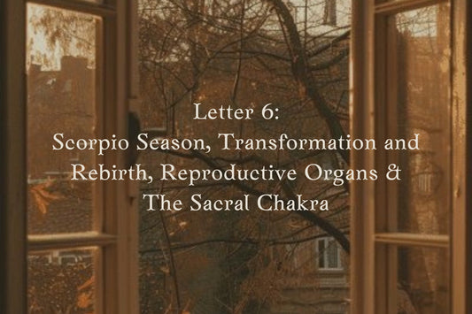 Letter 6: Scorpio Season, Transformation & Rebirth, The Reproductive Organs, The Sacral Chakra