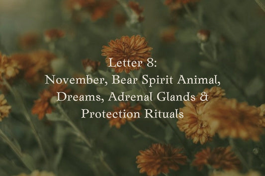 Letter 8: November Newsletter Bear Spirit Animal, Dreams, Adrenal Glands, & Protection Rituals