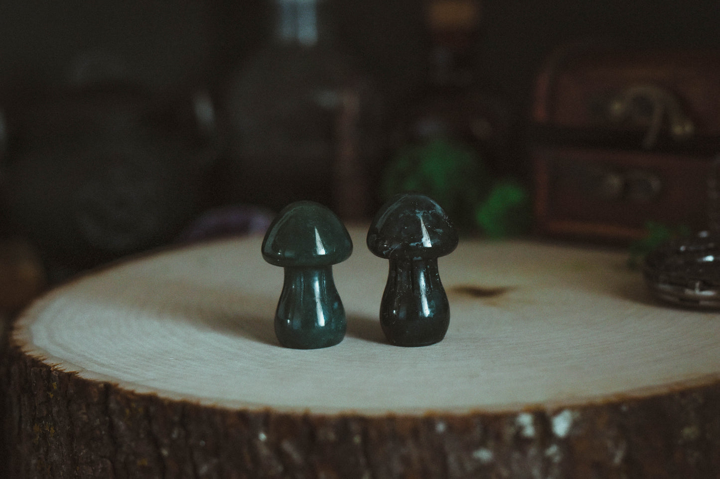 Moss Agate Mushroom