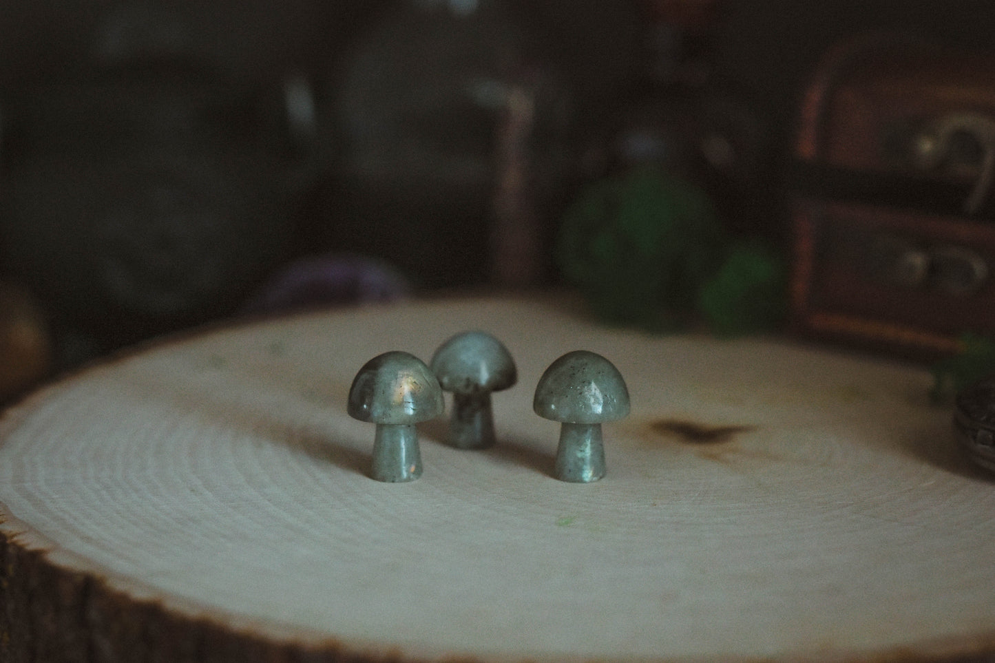 Labradorite Mushrooms