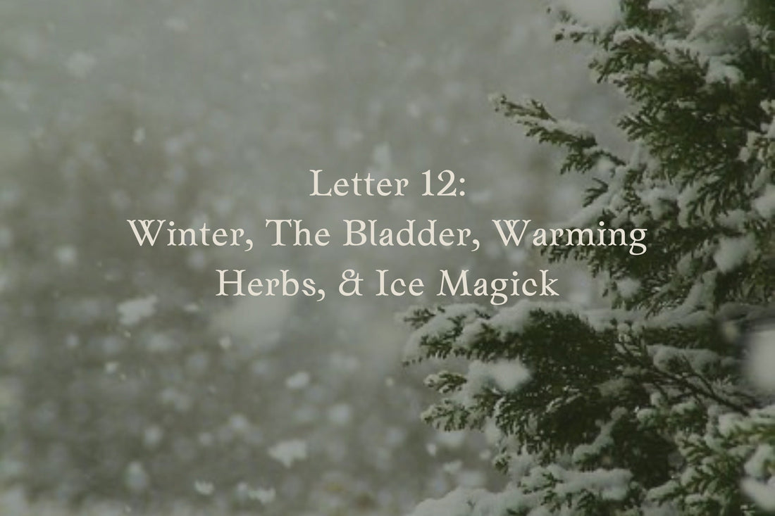 Letter 12: Winter, The Bladder, Warming Herbs, & Ice Magick