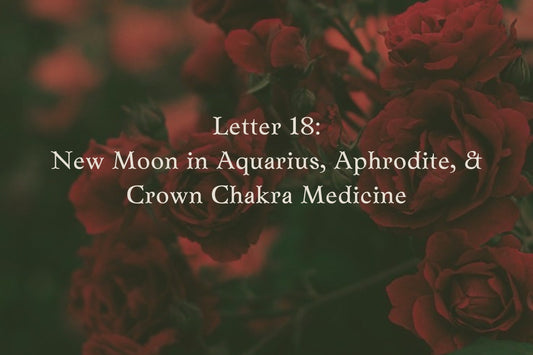 Letter 18: New Moon in Aquarius, Aphrodite, Crown Chakra Medicine