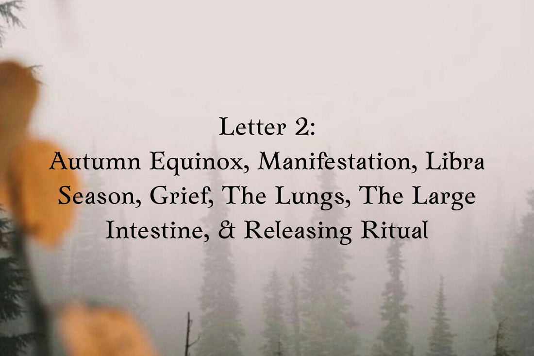 Letter 2: 2024 Autumn Equinox, Manifestation, Libra Season, Grief, The Lungs, The Large Intestine &amp; Releasing Rituals