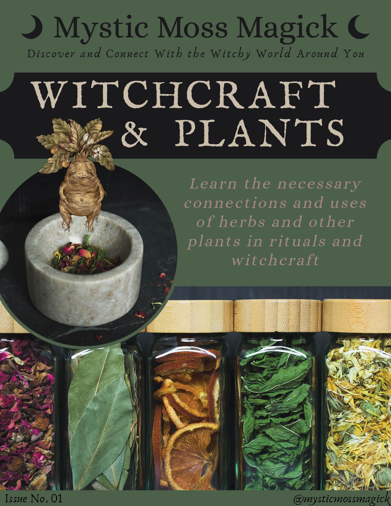 Witchcraft & Plants Newsletter