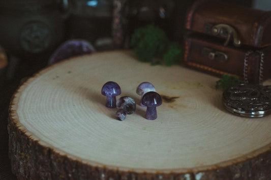 Amethyst Mushrooms