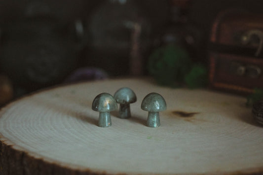 Labradorite Mushrooms
