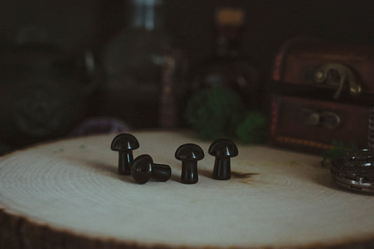 Obsidian Mushroom