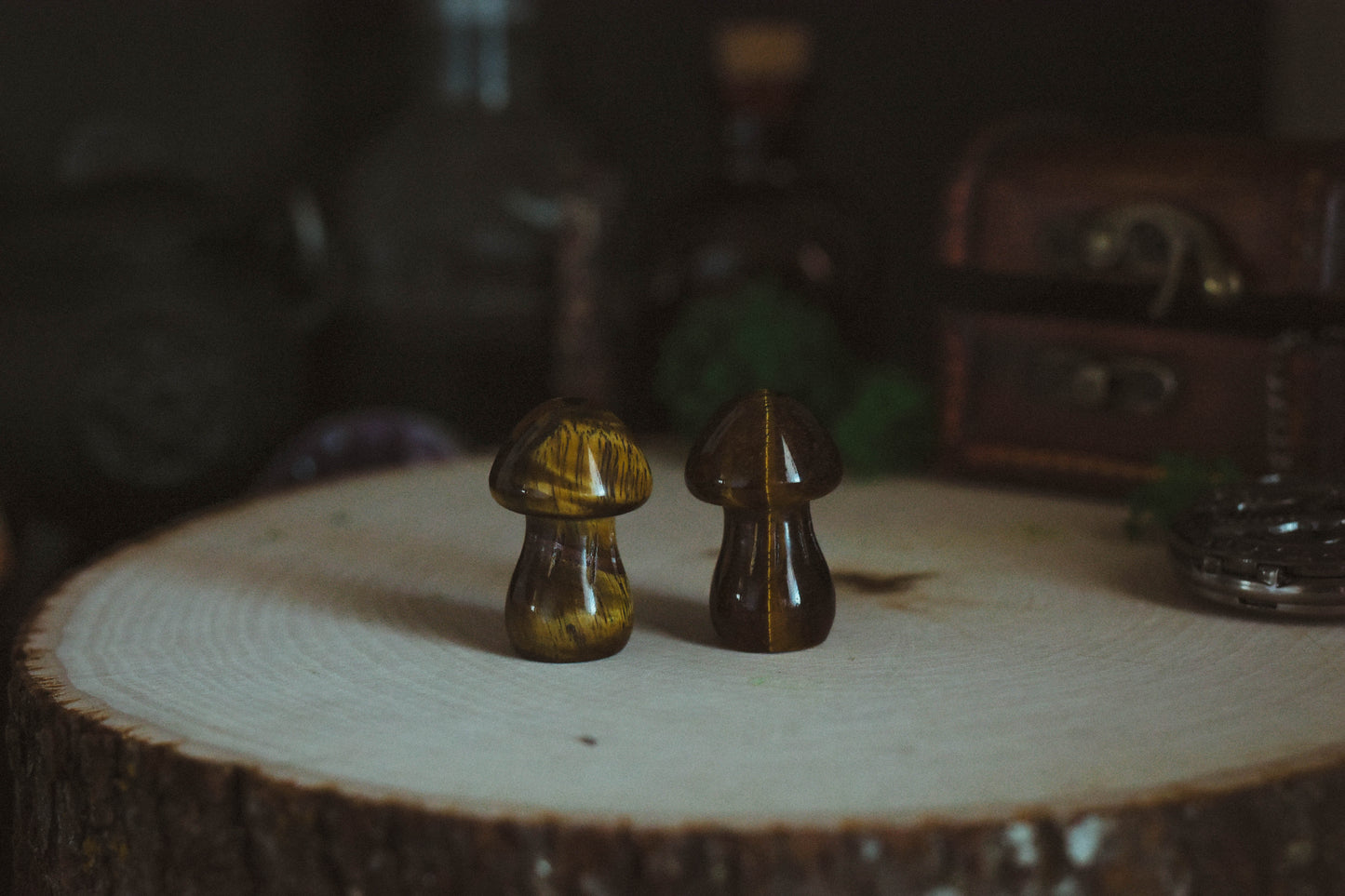 Tigers Eye Mushroom