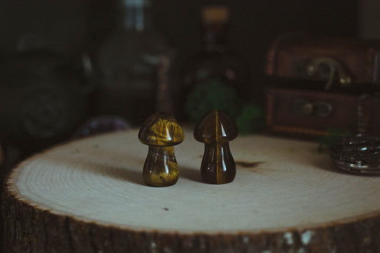 Tigers Eye Mushroom